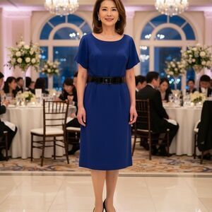 Tahari Arthur S. Levine Dress size 16W